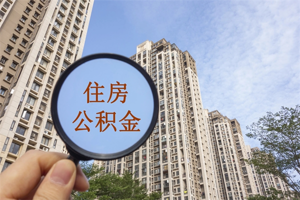 商丘住房公积金查询个人账户（住房公积金个人查询入口）